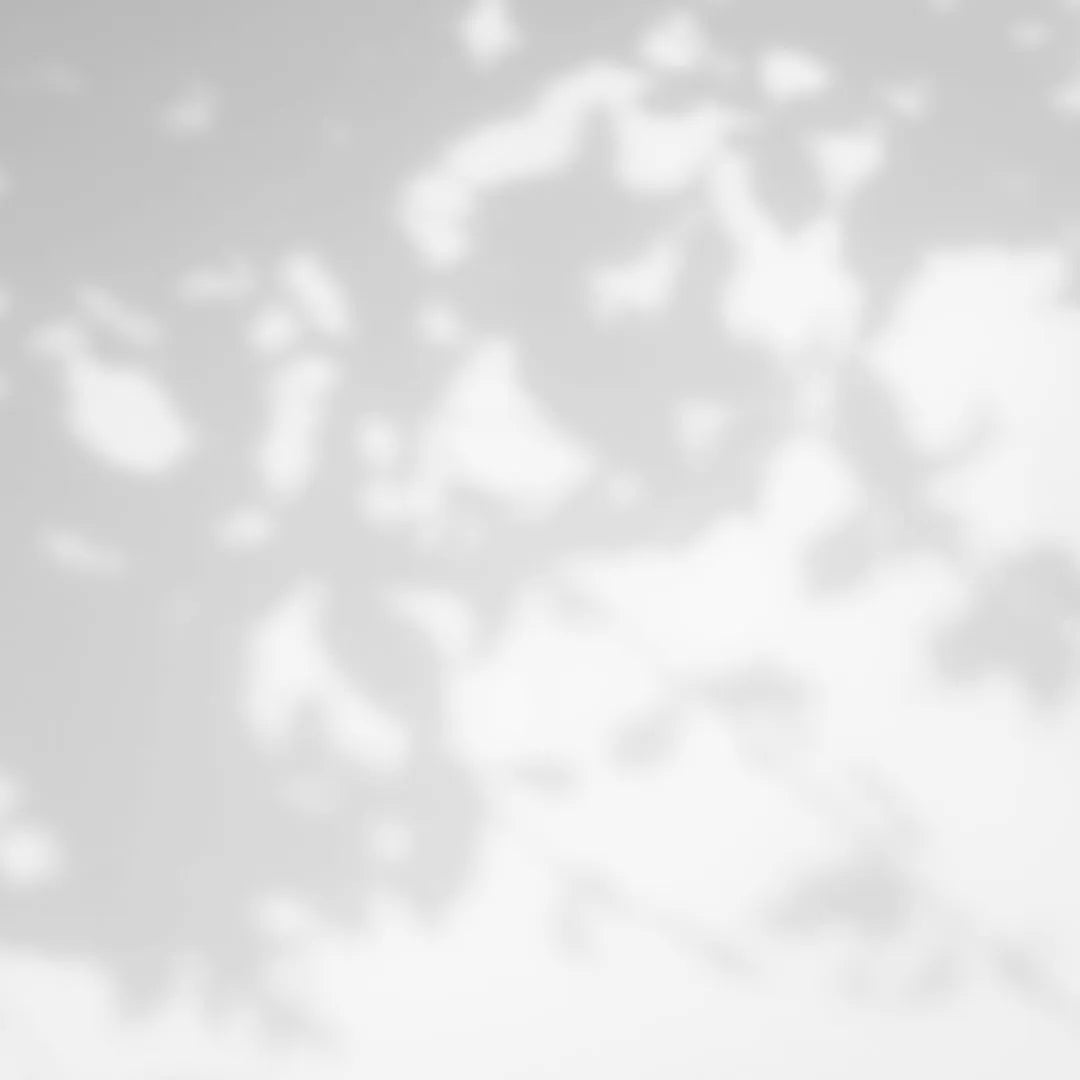GRAY COLOR PALETTE