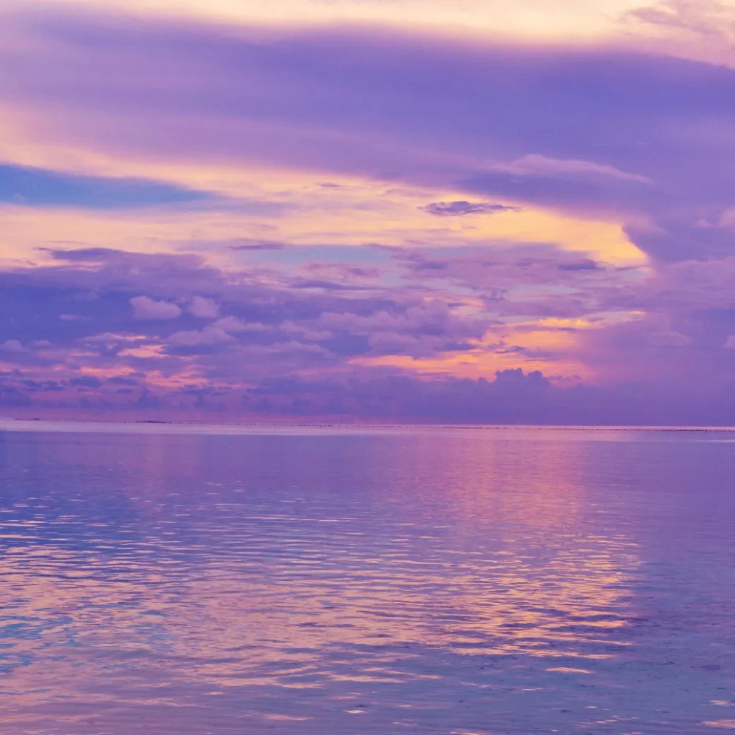 PURPLE COLOR PALETTE