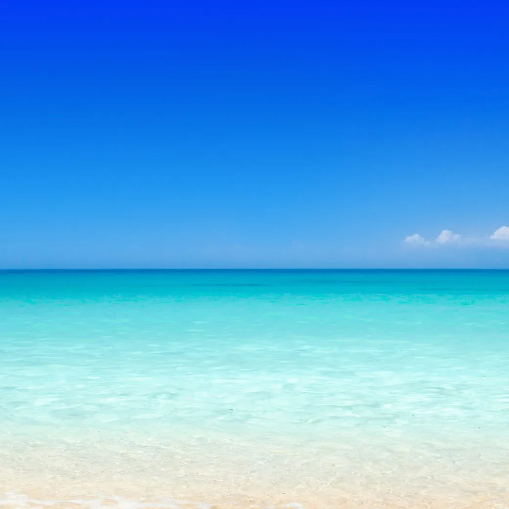 BLUE COLOR PALETTE