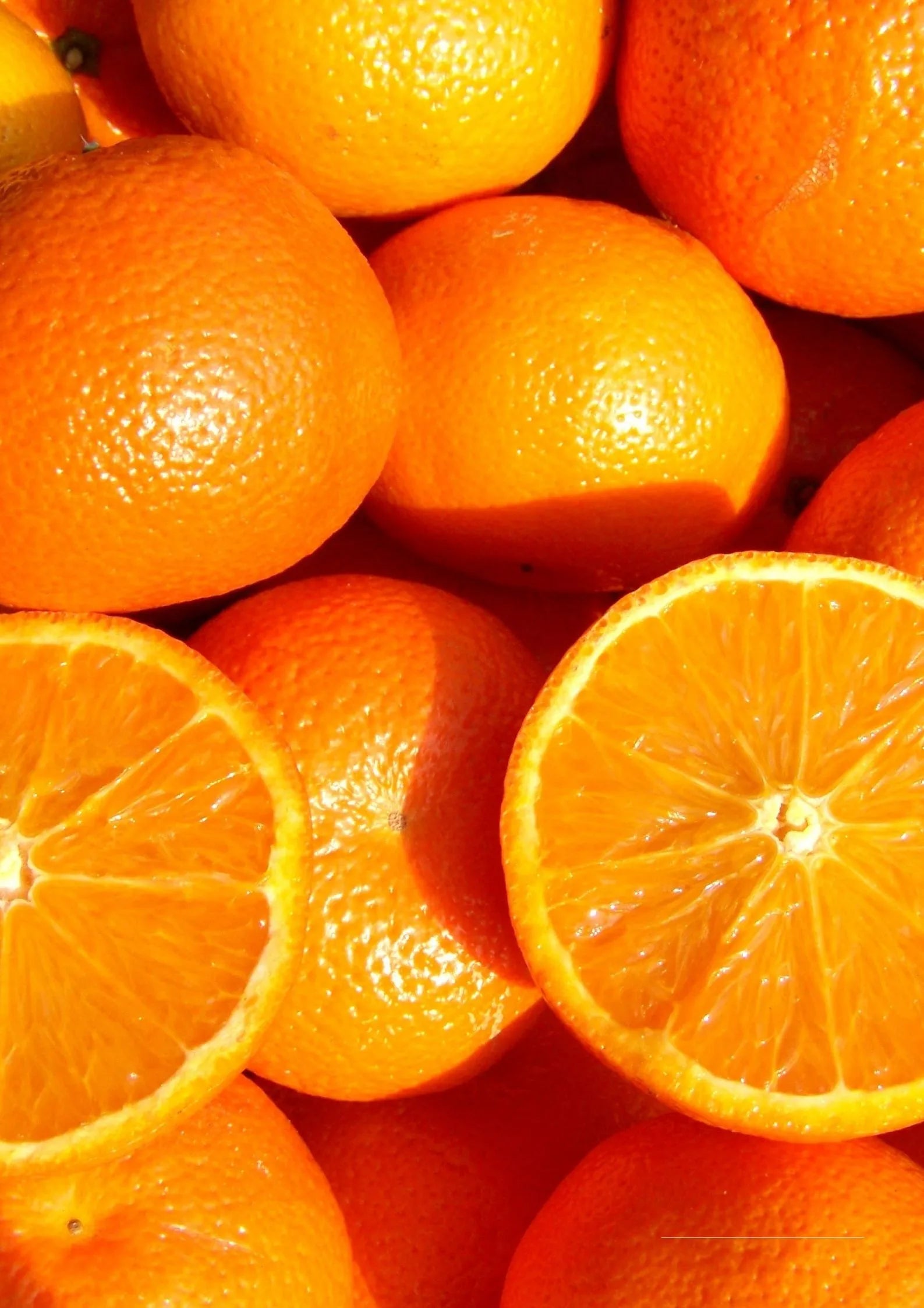 ORANGE COLOR PALETTE