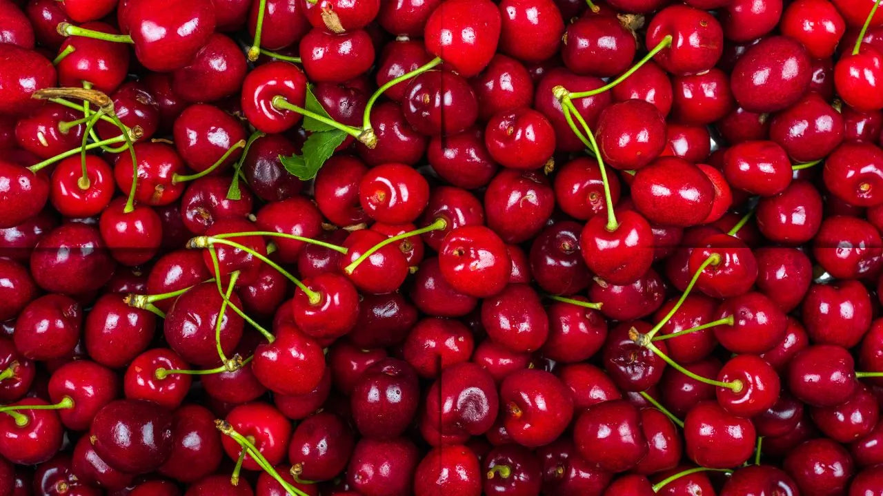 RED COLOR PALETTE